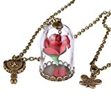 #2: 愛が萌え 美女と野獣ロマンチックですローズガラス カバードライフラワーキー ネックレス (レッド)