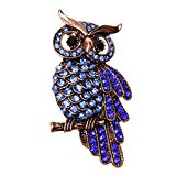 #7: 【ノーブランド 品】新しい　ファッション　水晶　ブローチ　ヴィンテージ　ジュエリー　フクロウ　ブルー