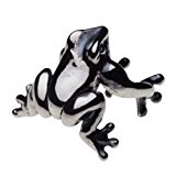 #6: 【セノーテ】 cenote e0186 【シルバーアクセサリー】 フロッグシルバーイヤーカフ