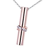 #7: HOUSWEETY ステンレス製 大容量 メモリアル ペンダント ネックレス リングデザイン (シンプル)