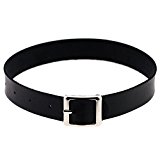 #6: Jade Cherishレザー　チョーカーchoker パンク　 メンズ　レディース　カラー