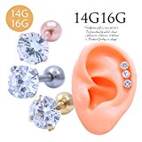 #4: （スパイシーリップス） シンプル 1粒 5mmキュービックジルコニア 軟骨ピアス ボディピアス 0014 (14G/ゴールド)