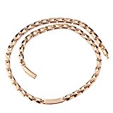 #9: 母の日ギフト Pasiro ゲルマニウム ネックレス レディース 純チタン製 抗疲労 睡眠改善 血行促進 金属アレルギーフリー 磁気ネックレス 【ギフトボックスが付属】 (チタン)