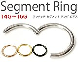 #2: FdP1年保証 セグメントリング ヒンジ付き ワンタッチタイプ 316Ｌサージカルステンレス 軟骨ピアス (シルバー 16G-6mm)