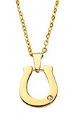 #4: Strength ステンレス 製 ホースシュー ネックレス ジュエリー ボックス 入り ( A1398 ) 馬蹄 メンズ サージカルステンレス 316L ( ゴールド 男物 単品 )
