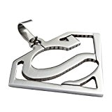 #2: Trendsmax プレゼント ジュエリー ファッション アクセサリー　メンズ レディース スーパーマン ネックレス 　クラシック ネックレス,チョーカー,ステンレス, カラー:シルバー 　ペンダントだけ　46mm*36mm*2mm　男女兼用