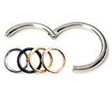 #7: FdP1年保証 セグメントリング ヒンジ付き ワンタッチタイプ 316Ｌサージカルステンレス 軟骨ピアス (ブラック 14G-10mm)