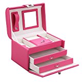 #8: ローリング（Rowling）コンパクト　ジュエリーボックス　アクセサリーケース　かわいい　ミラー付き　　祝日ギフト (ROSE)