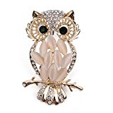 #1: Target World 美しい 輝き 小枝にとまる エレガントな フクロウ ブローチ …