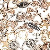 #8: 【京珠堂】チャーム アクセサリーパーツ 50g アソートセット