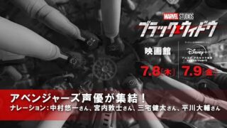 中村悠一、宮内敦士、三宅健太、平川大輔！　アベンジャーズ声優集結の「ブラック・ウィドウ」CM映像(映画.com)